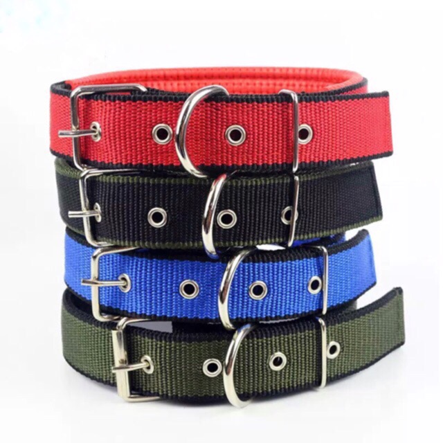 fashion dog collar