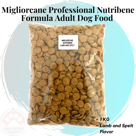 Soft Dry Dog Food Should Senior Dogs With Bad Teeth Eat It? Yumwoof
