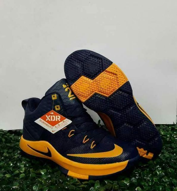 lebron james 23 shoes