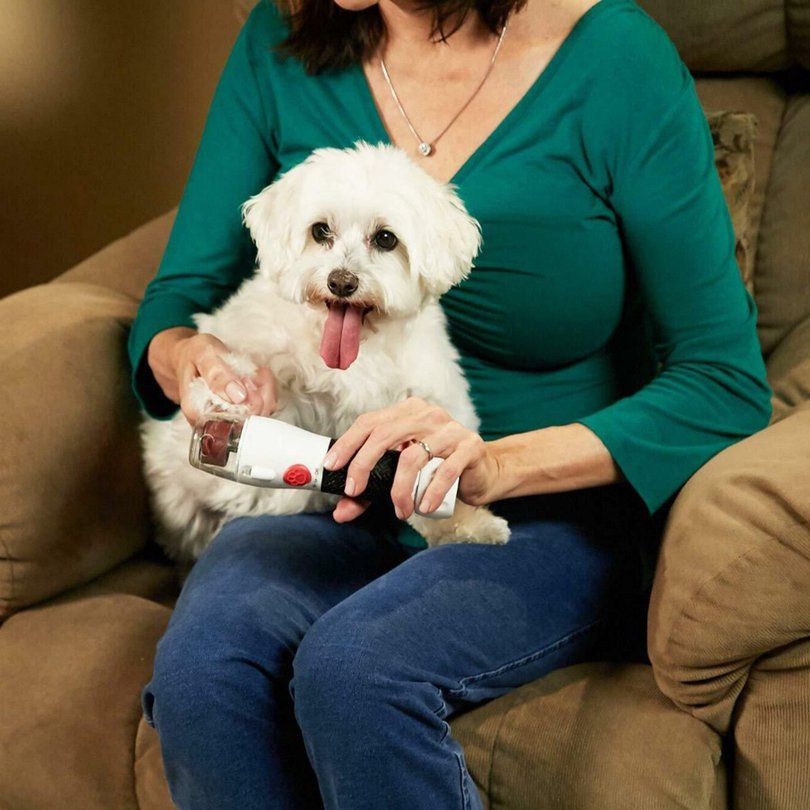 pet perfect nail trimmer