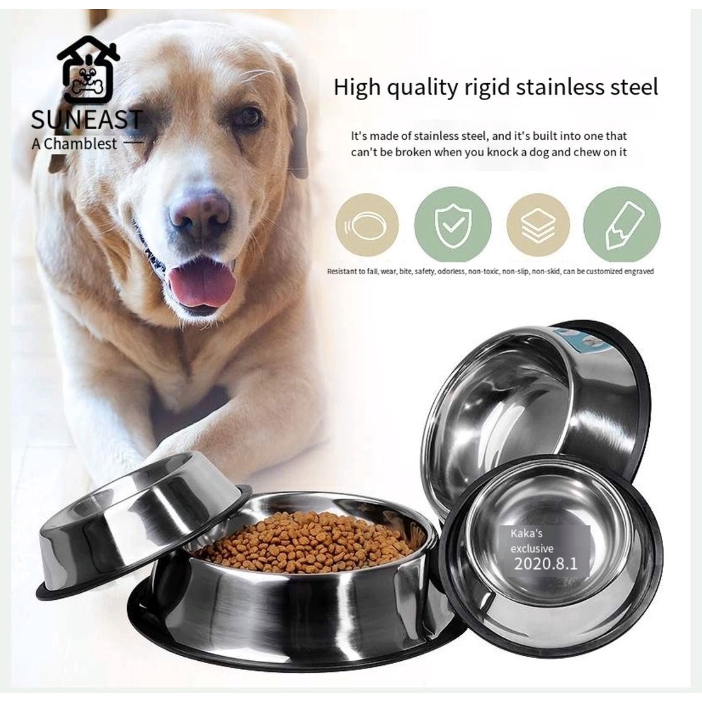 Why Do Dogs Knock Over Their Water Bowls