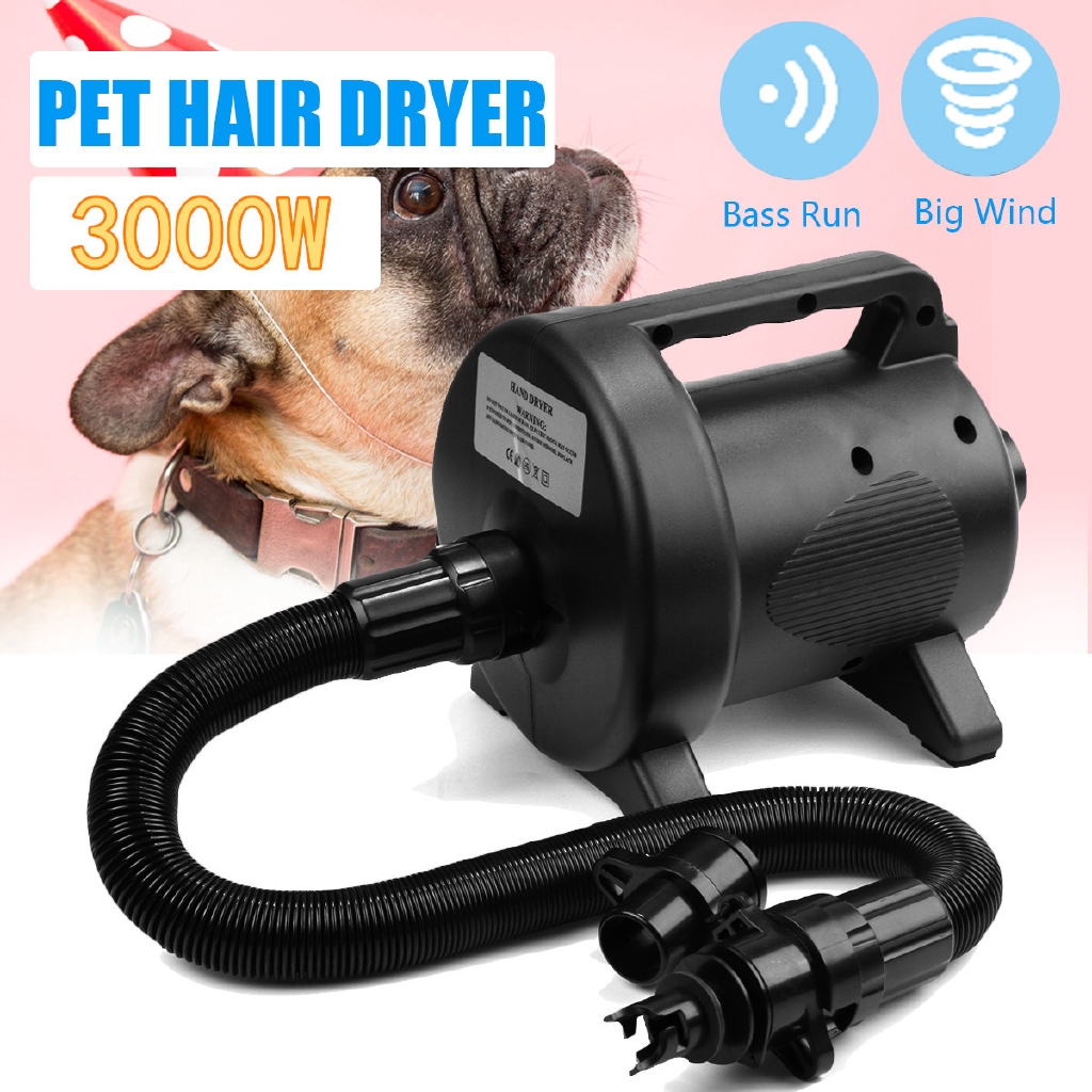 quiet hair dryer for cats