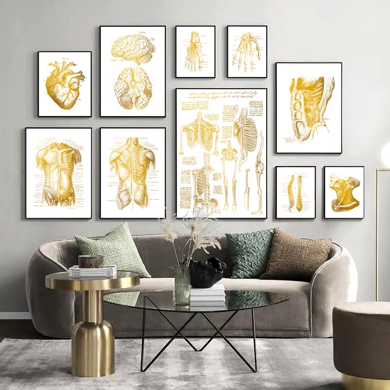 Human Anatomy Artwork Medical Wall Picture Skeleton Organ Muscle System ...