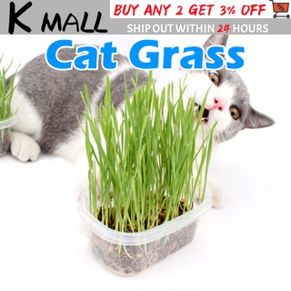 【PH Local】PET / CAT GRASS KIT with POT & SOIL CATGRASS WHEAT/BARLEYGRASS