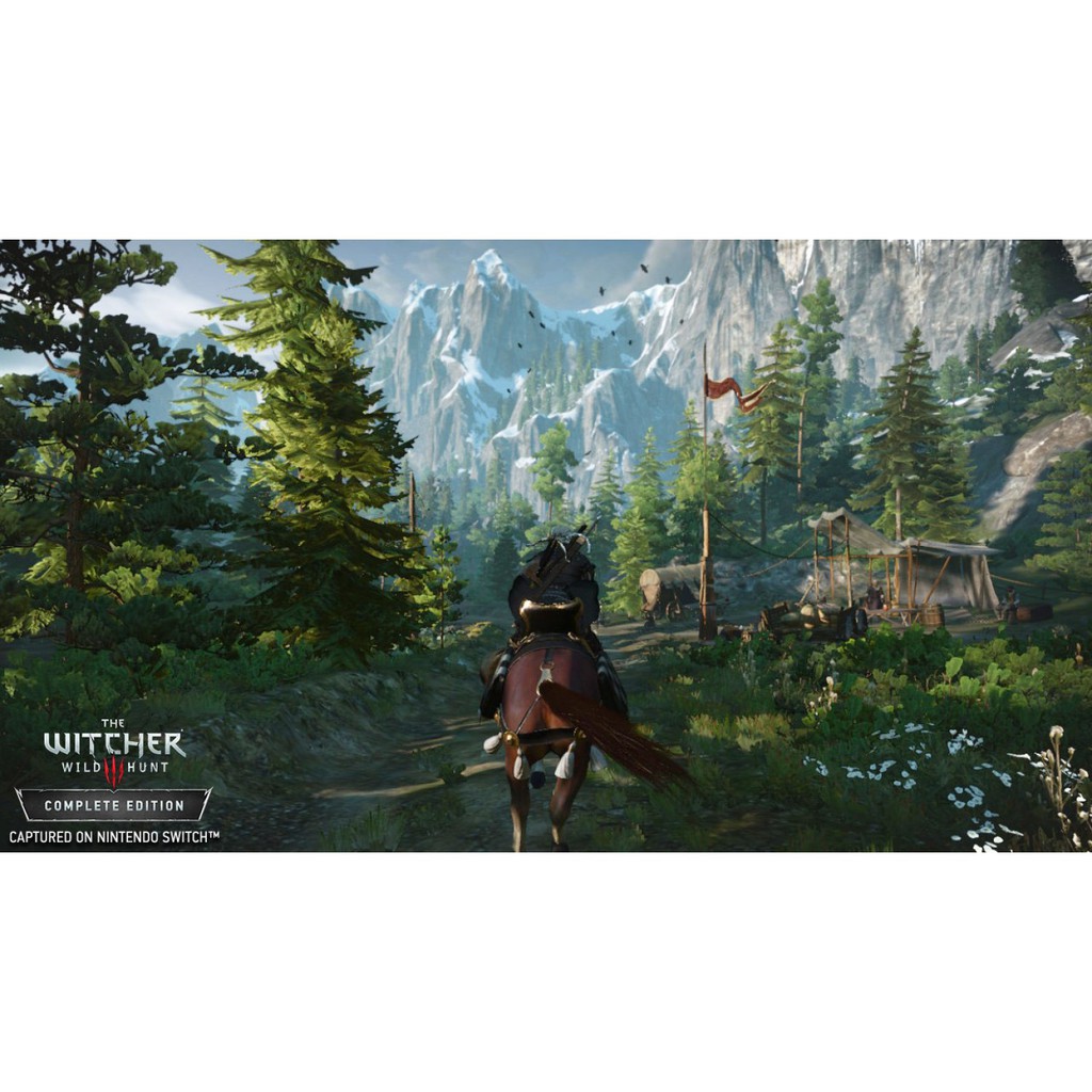 witcher 3 nintendo switch sale