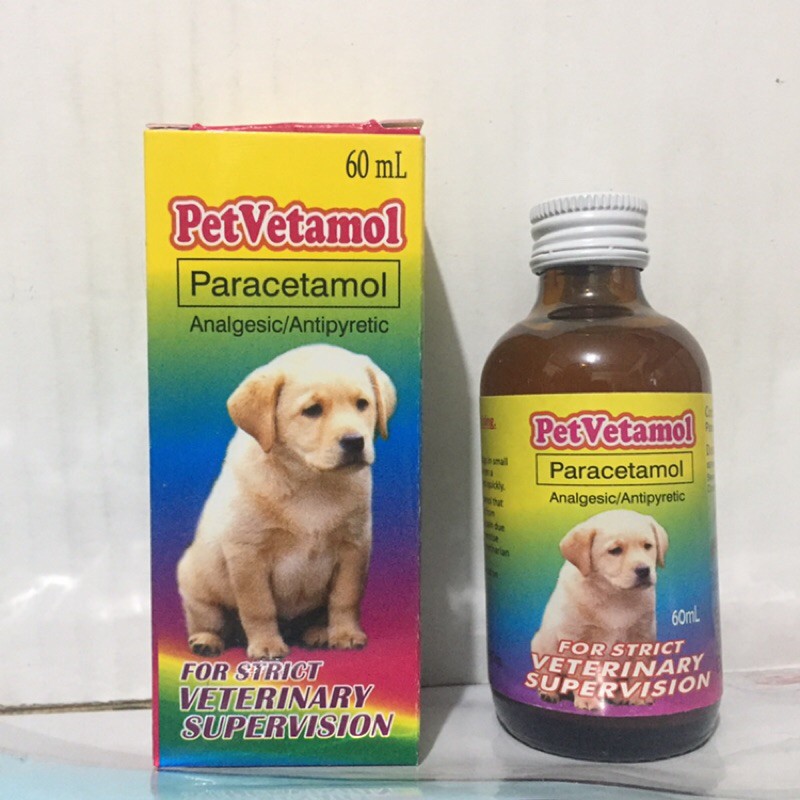 can dogs have liquid paracetamol