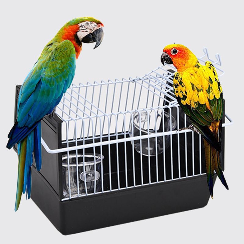 macaw transport cage