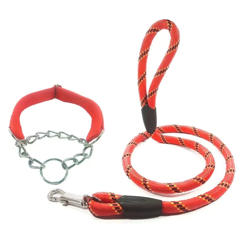 a dog leash