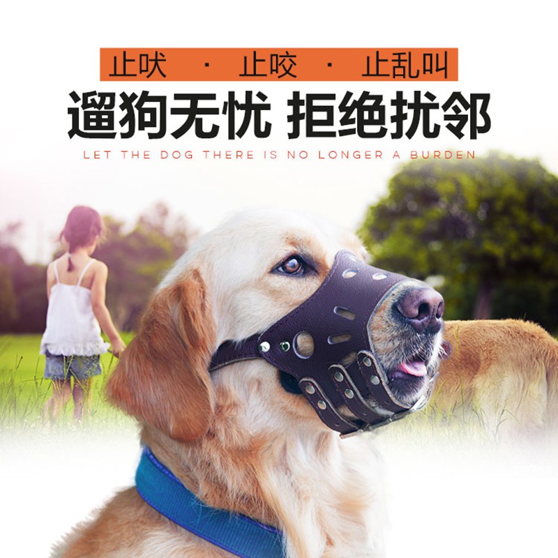 dog muzzle set