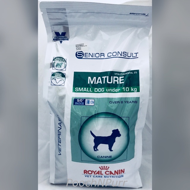 blue dog collar and lead