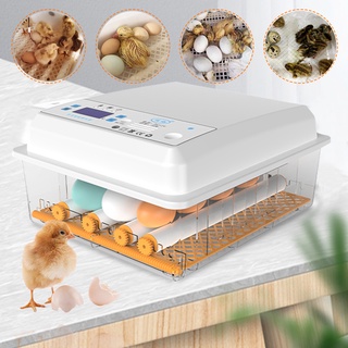 Egg incubator Digital automatic constant temperature egg incubator Automatic egg incubator