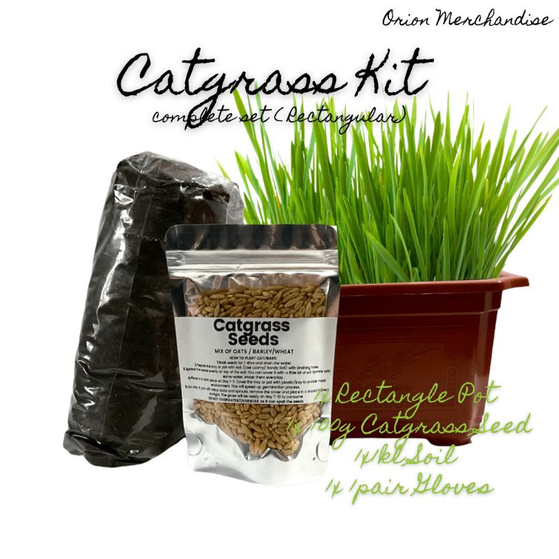 Is Cat Grass Good For Dogs