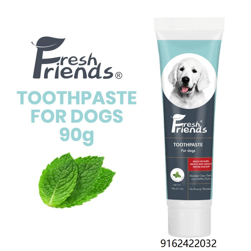 what is a safe toothpaste for dogs