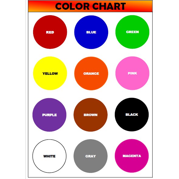 A4 laminated wall chart (colors) | Shopee Philippines