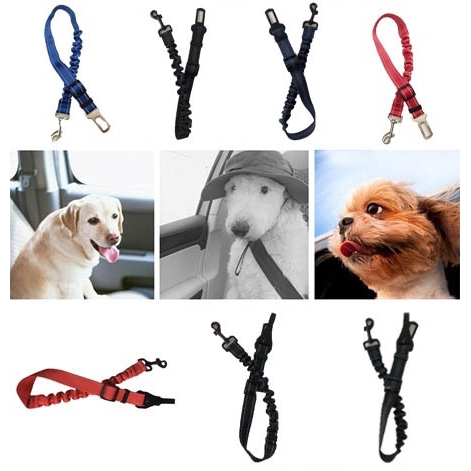 anti shock dog leash
