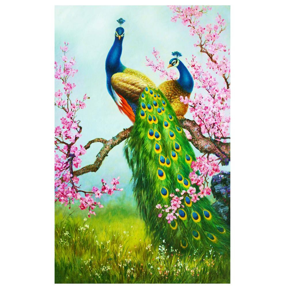 760 Koleksi Gambar Burung Merak Dari Pensil Gratis