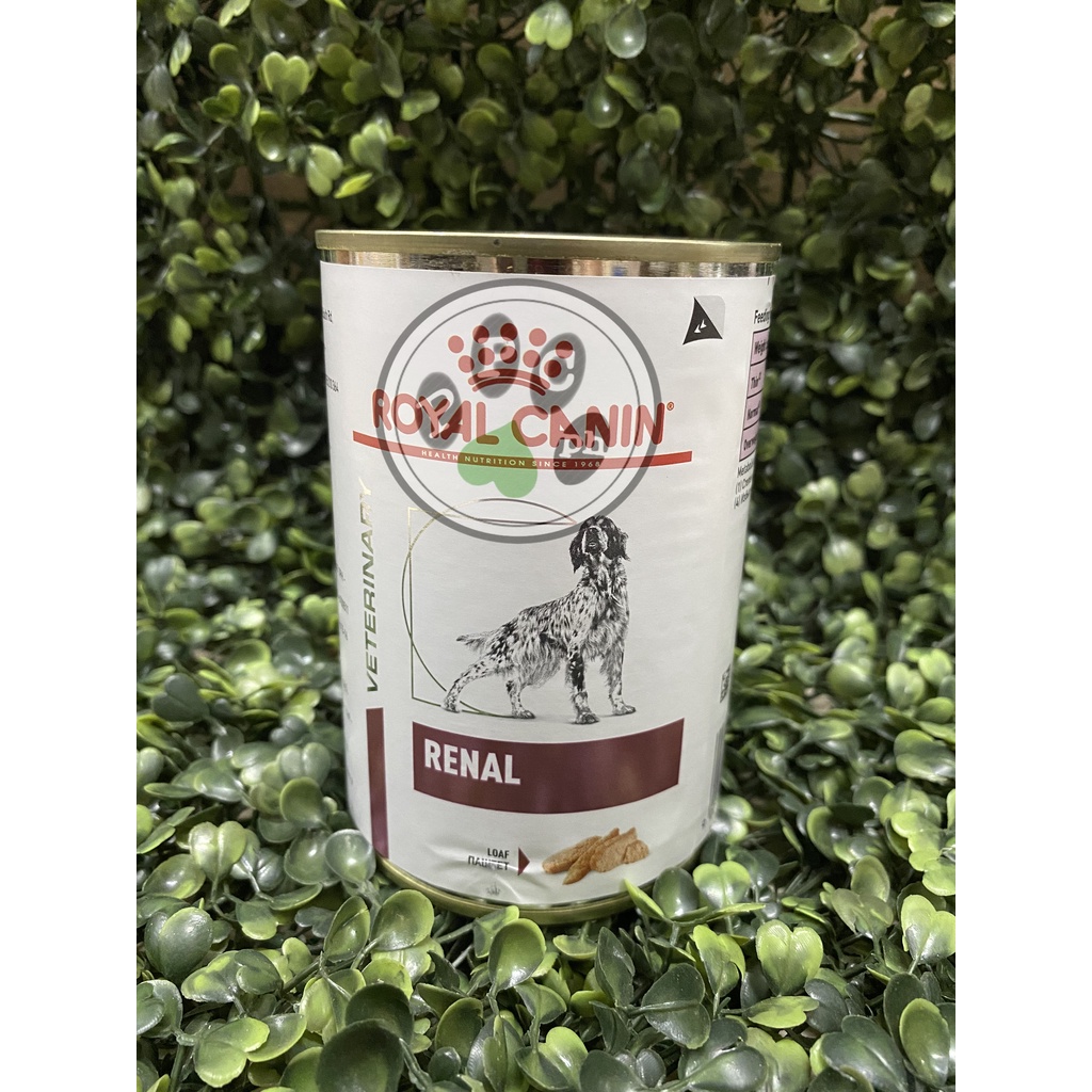 Royal Canin Renal Dog Food in Can 410g Shopee Philippines