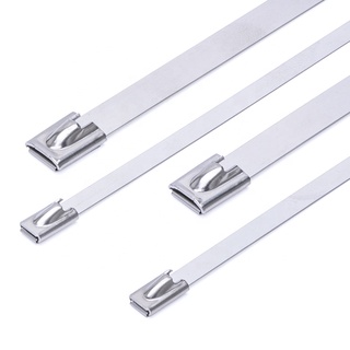 Wholesale Good Quality High Strength Metal Steel Mount Zip Cable Tie Stainless