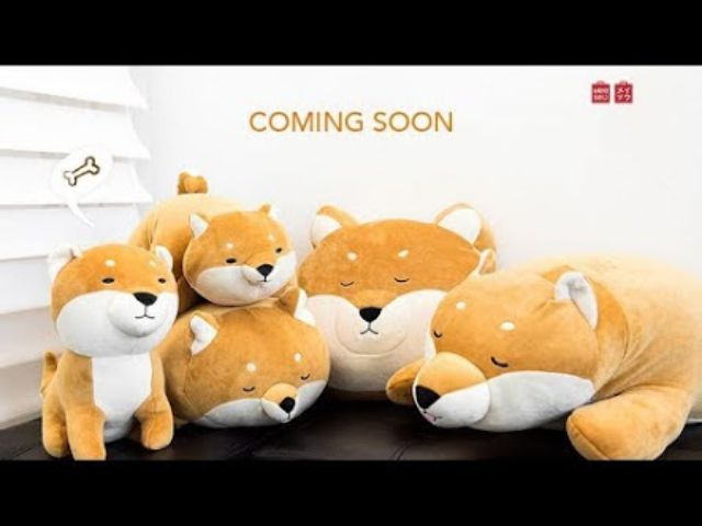 shiba inu miniso