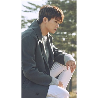 PARK HYUNG SIK WALLPAPER MINI PILLOW 8 INCHES X 11 INCHES | Shopee  Philippines