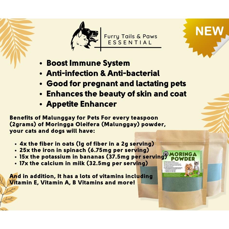 Moringa Organic Powder 50grams (BEST PET FOOD SUPPLEMENT) Shopee