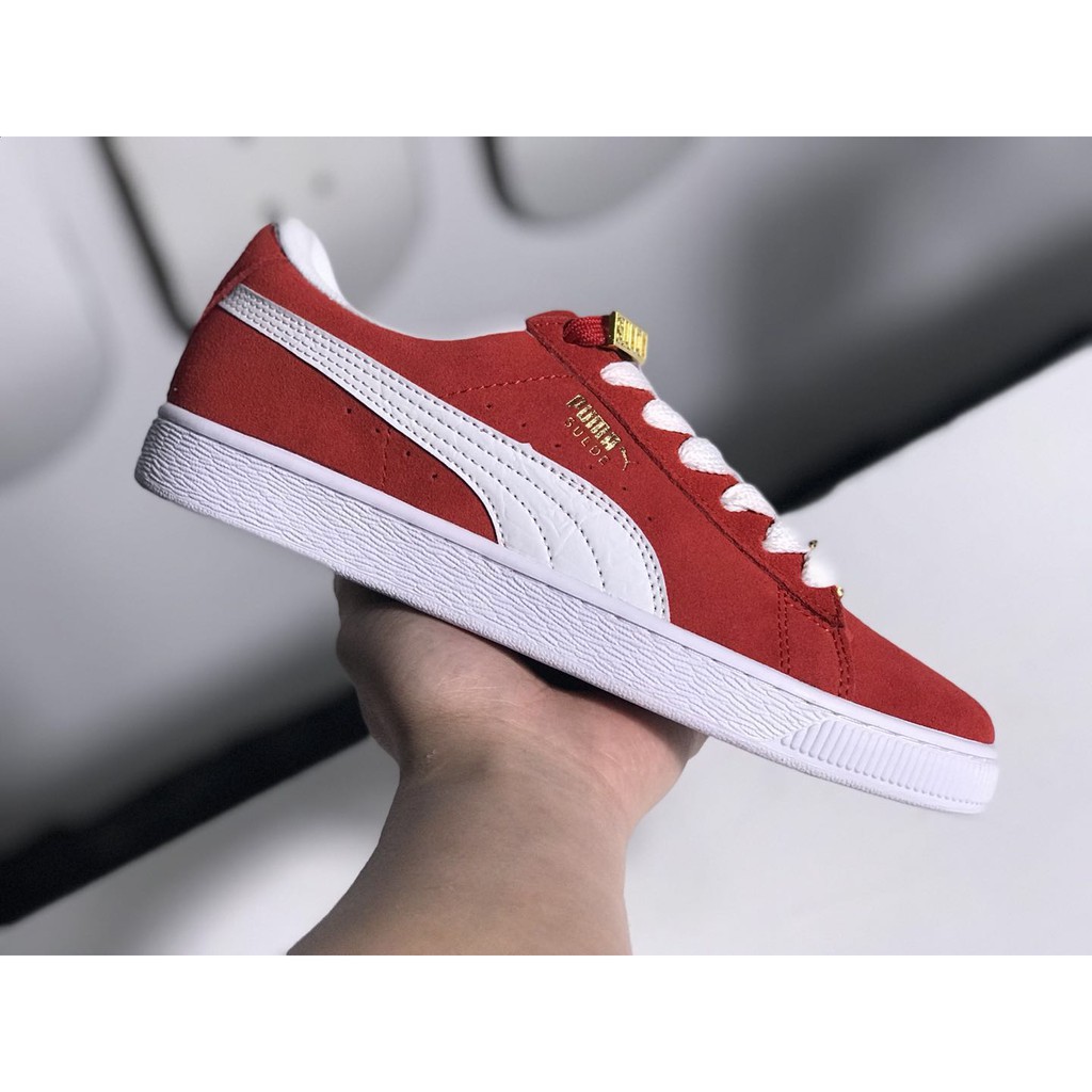 puma cat origin
