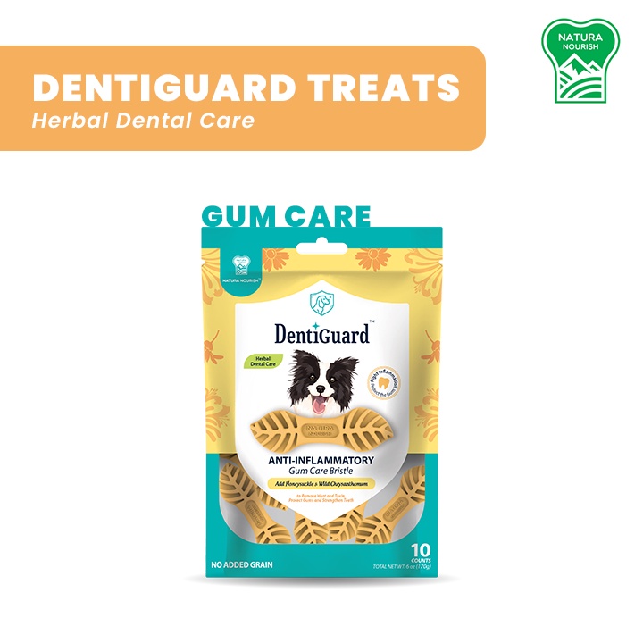 Natura Nourish Dentiguard Dental Dog Treats 170g 12 pcs Gum Care | Shopee  Philippines