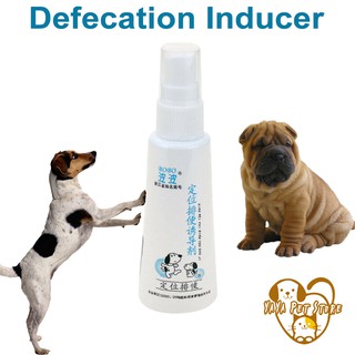 Pet Dog Spray Inducer Toilet Training Puppy Positioning Defecation Potty 1pc