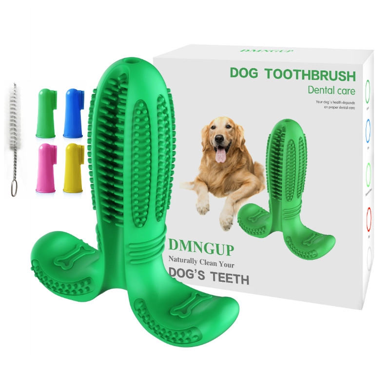 dog chew toy toothbrush