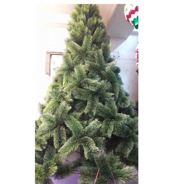 Christmas Tree (Sugar Pine) Shopee Philippines