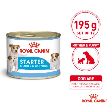 royal canin starter
