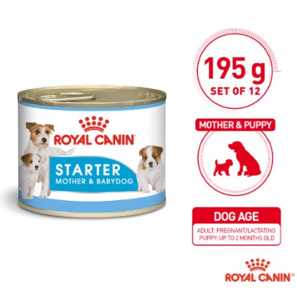 royal canin mother and baby dog food