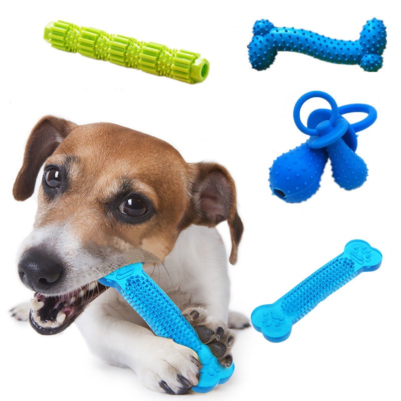 dog toothbrush dental stick