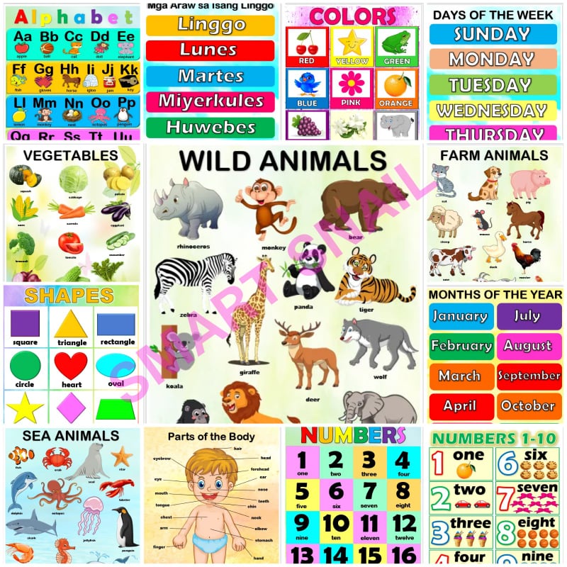 Featured image of Laminated Educational Wall Charts for Kids