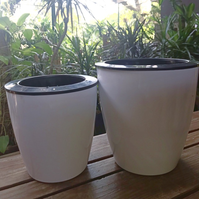 Self Watering Pots Shopee Philippines