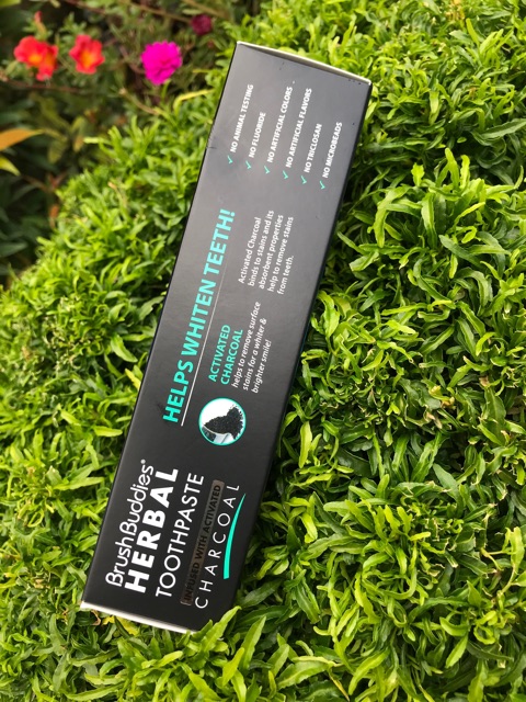 Brush Buddies Charcoal Toothpaste | Shopee Philippines