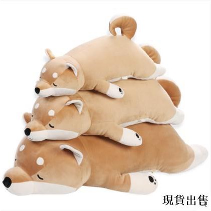 shiba doll
