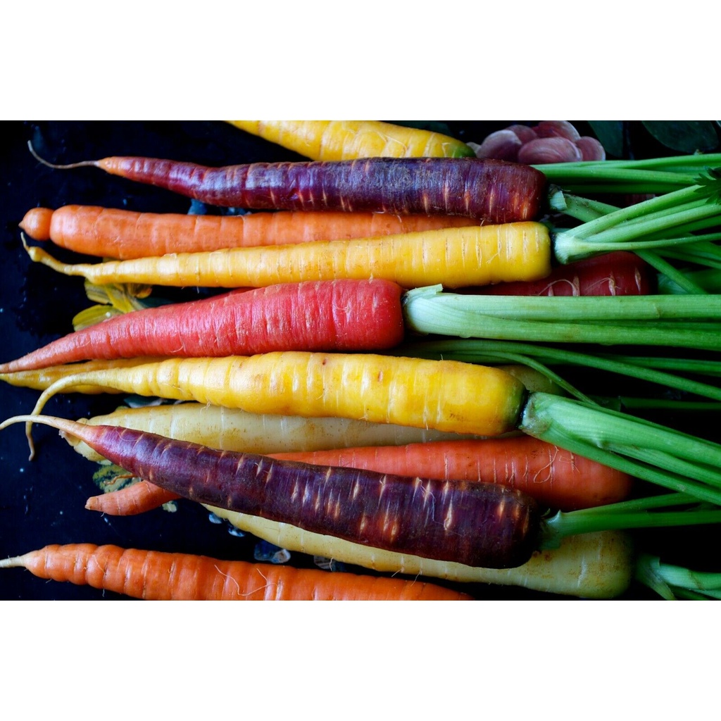 морковь карамелька фото