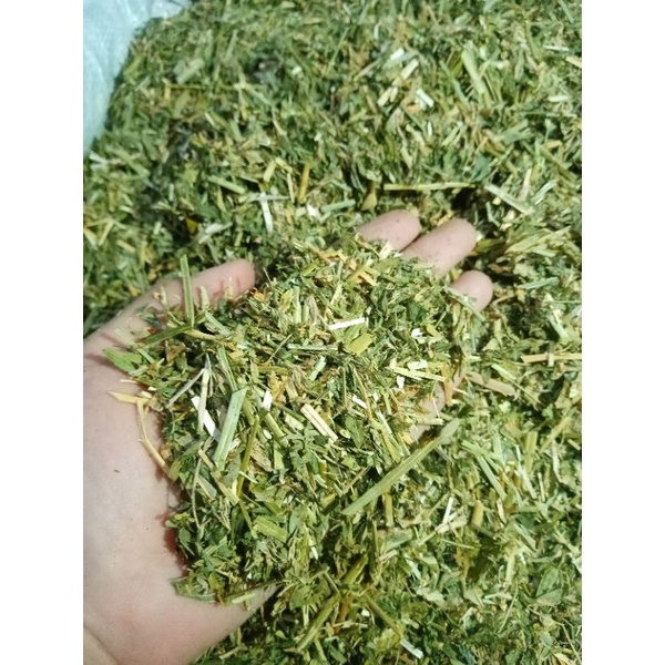 ALFALFA HAY Chaff 1KG, 500G & 200G for young rabbits and guineapigs