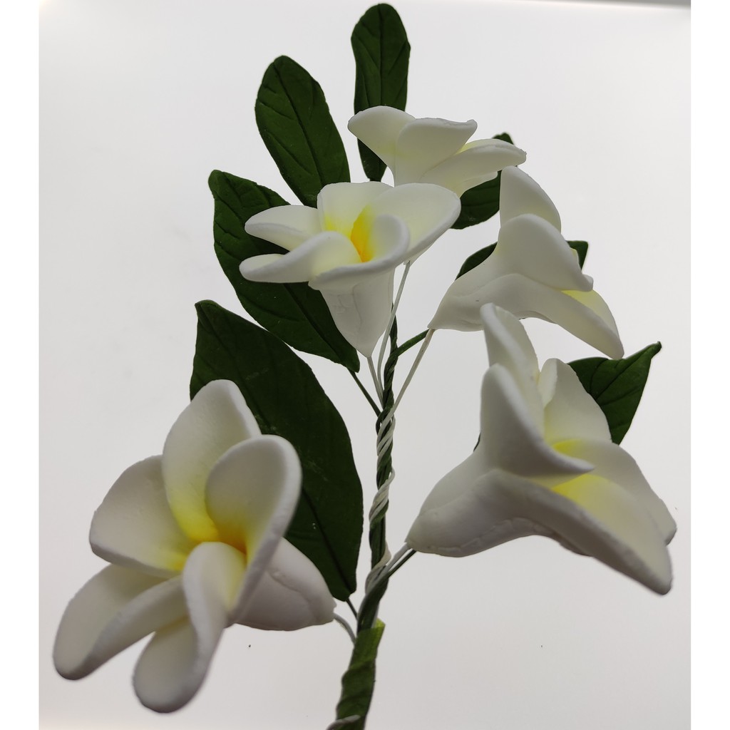 New Collection SMALL Frangipani Spray Set 020321 Edible Cake Topper