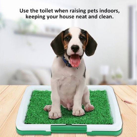 Potty trainer dog Whelping dog box Perfect Pets Puppy Training Potty