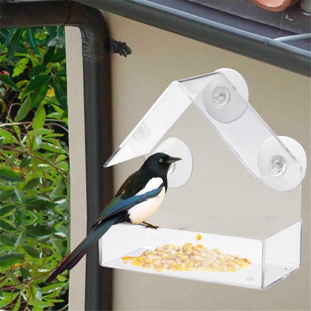 Gk Squirrel Feeder Tray Birdhouse Window Suction Cup Tools