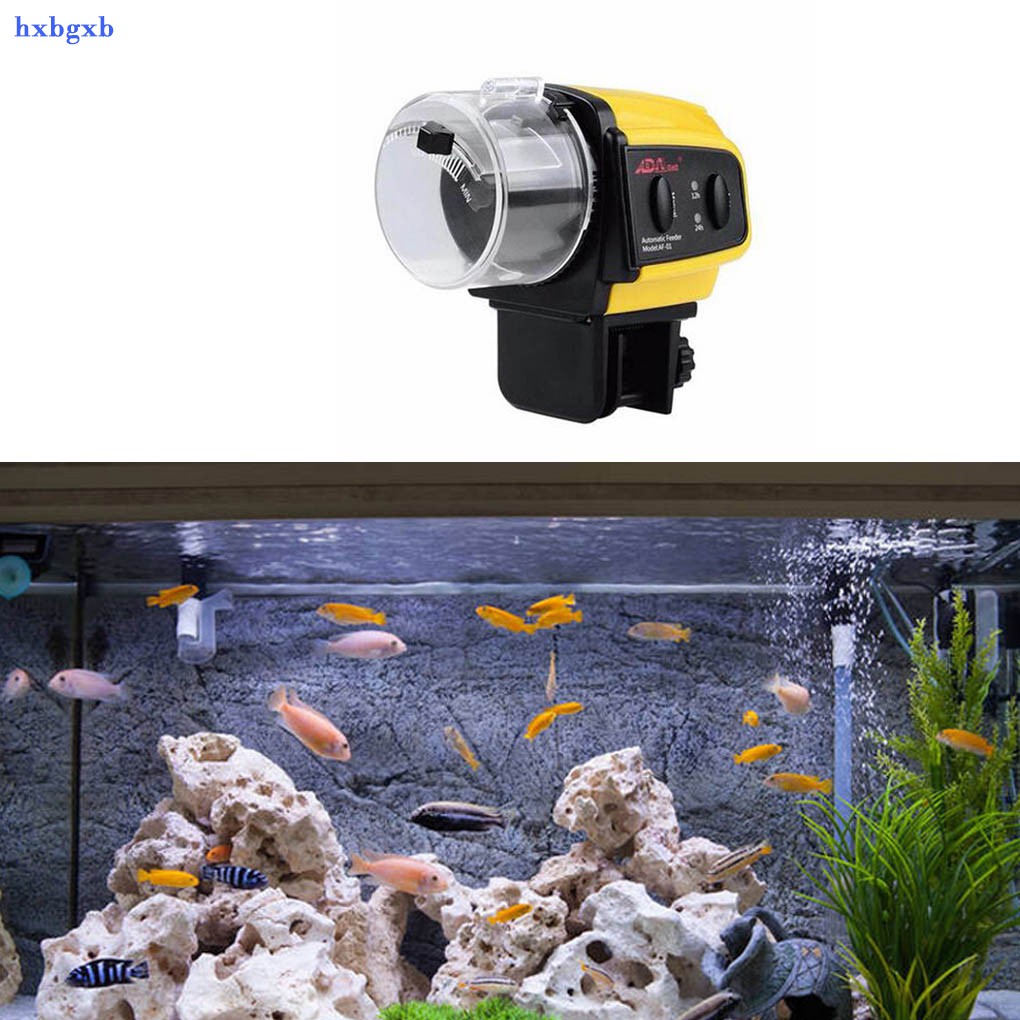 automatic fish tank