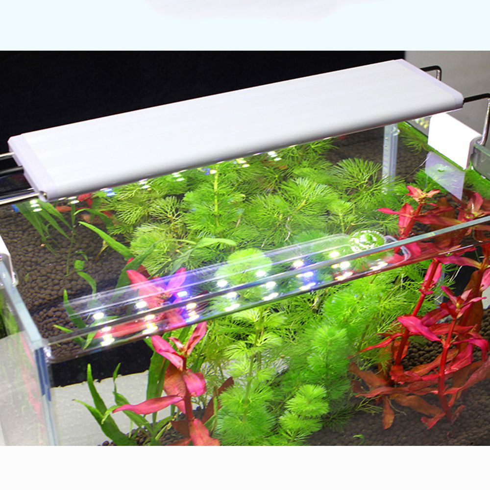 Submersible Extendable Bar Led Light Fish Tank Aquarium Shopee