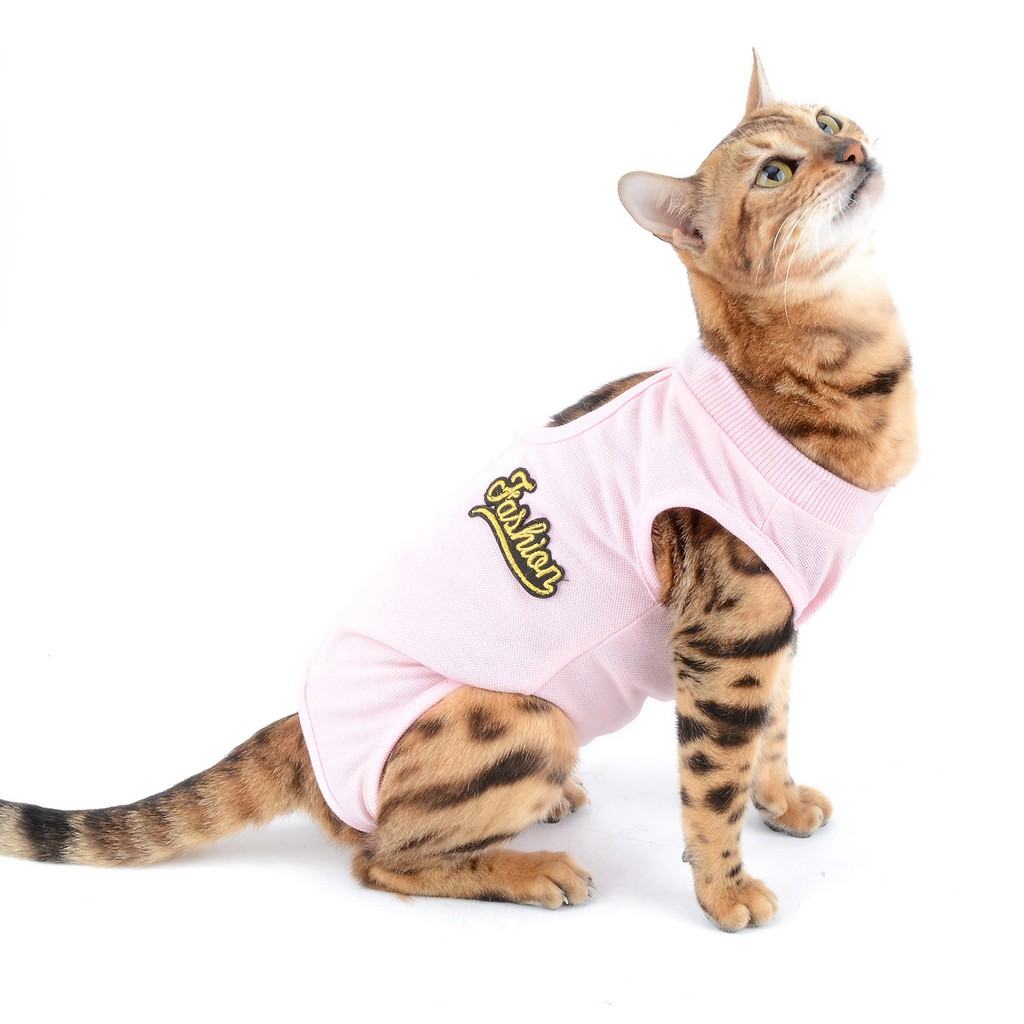 Breathable E-Collar Alternative for Cats After Surgery Abdominal Wounds or Skin Diseases BIGNADO Cat Recovery Suit After Surgery Wear Anti Licking 
