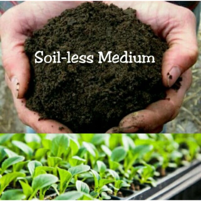 1kg Organic Potting Mix Soil (Soil-less Medium) | Shopee Philippines