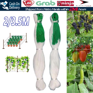 【Fast Delivery】Garden Plant Climbing Netting Chinese Yam Trellis Net Mesh White Nylon Support Mesh