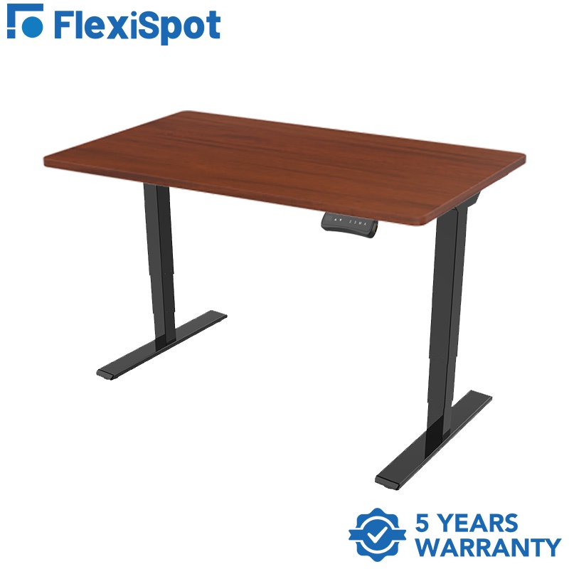 FlexiSpot E5 Electric Ergonomic Standing Desk Height Adjustable 2Motor