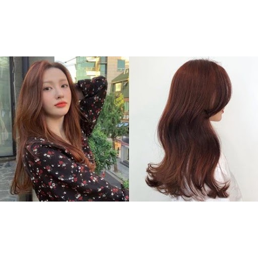 Dark Golden Blonde Hair Color with Oxidant ( 6/3 Bob Keratin Permanent Hair  Color ) | Shopee Philippines