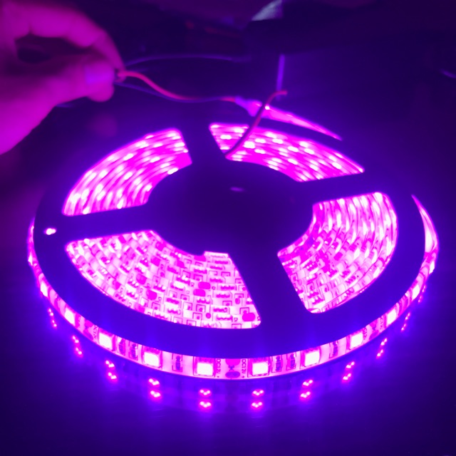 Pink Smd5050 Led Strip Lights 5meters Ip65 Outdoor Shopee Philippines